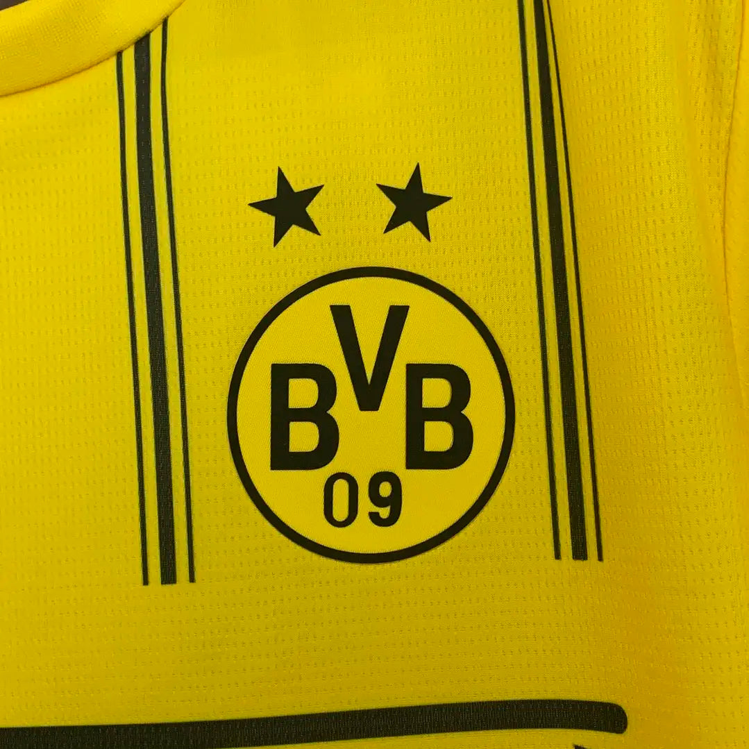 Borussia Dortmund x One Piece Special Edition 25/26