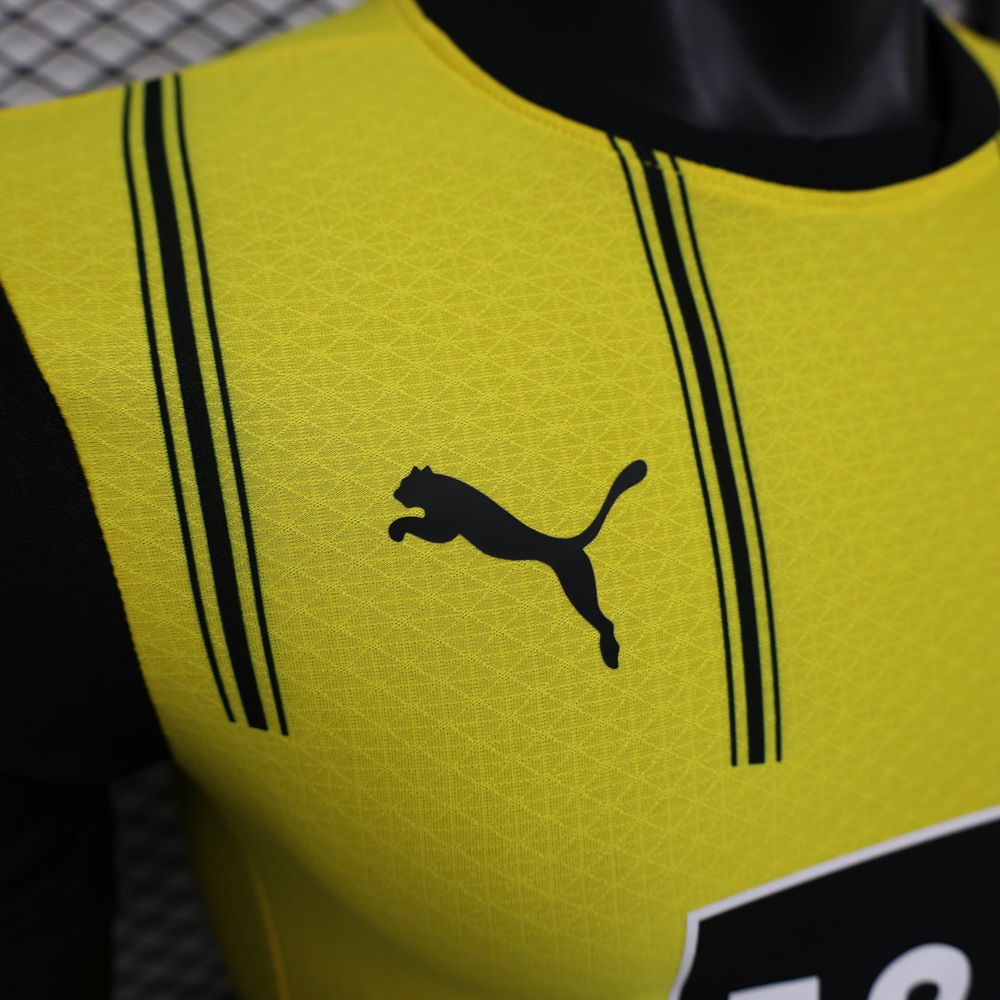 Borussia Dortmund Home 24/25