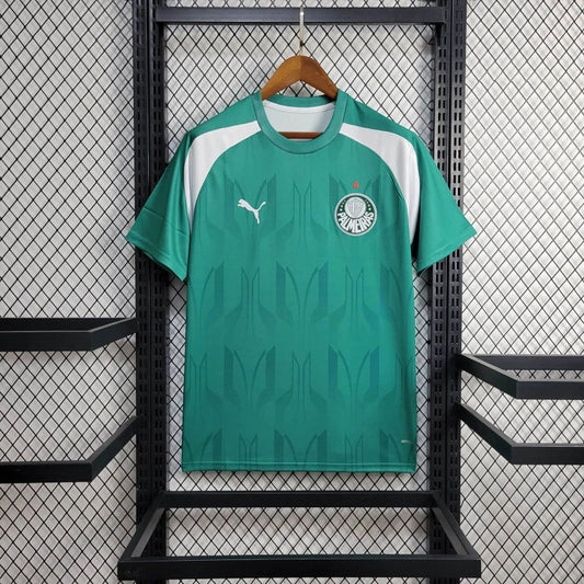 Palmeiras Training 24/25