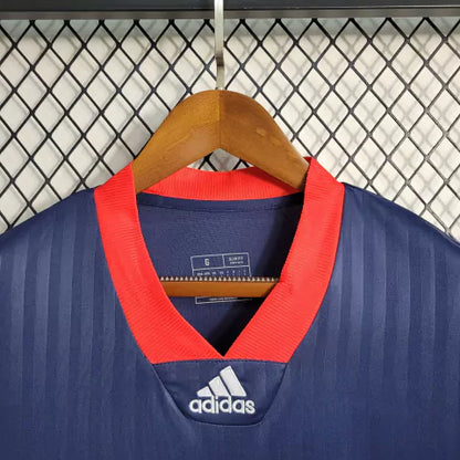 Ajax Special Edition Icon 23/24